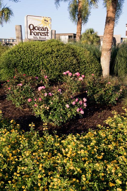 Ocean Forest Villas Myrtle Beach Extérieur photo